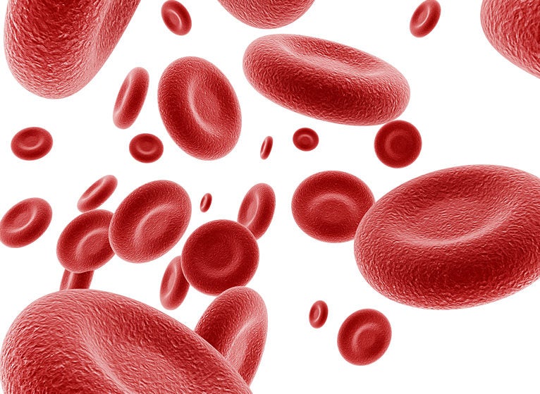 red blood cells