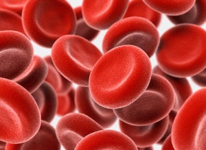 red blood cells