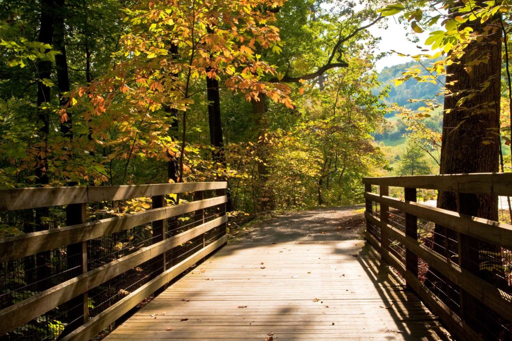 bridge in autumn