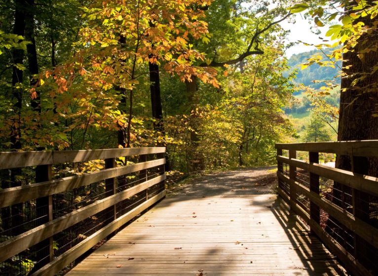 bridge in autumn