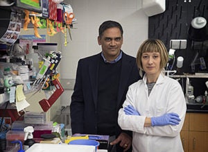 Drs. Kodi Ravichandran and Sanja Arandjelovic