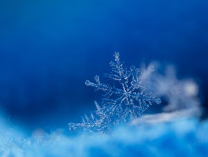 Close-up of snowflakes on blue background