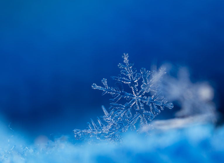 Close-up of snowflakes on blue background