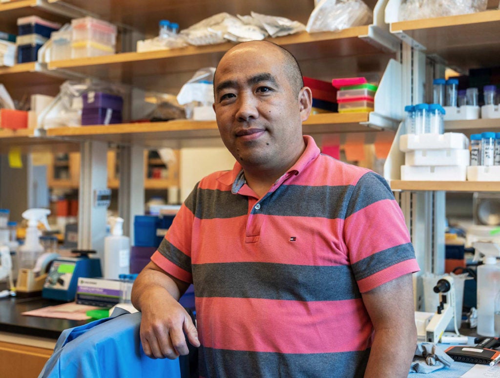 Jie Sun, who helped lead the collaboration, serves in the Division of Infectious Diseases and International Medicine at UVA. He is the Harrison Distinguished Teaching Professor of Medicine. (Photo by Erin Edgerton, University Communications)