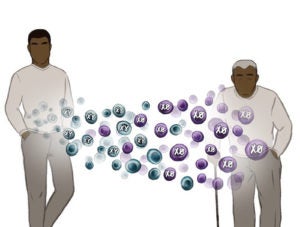 chromosome loss illustration