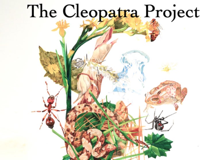 cleopatra project book cover