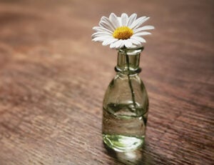 Close-Up Of White Flower In Vase On Table