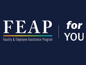 feap logo