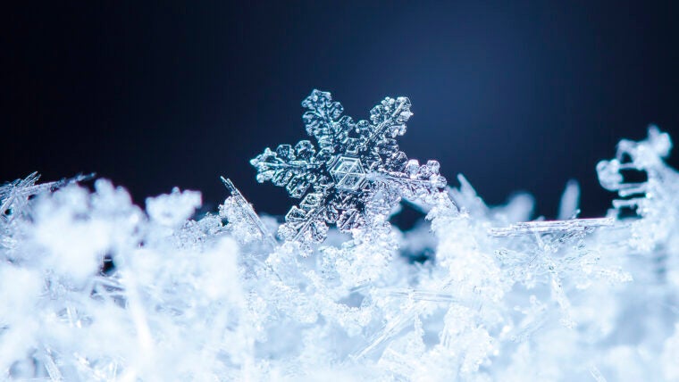 winter card, photo real snowflakes on snow