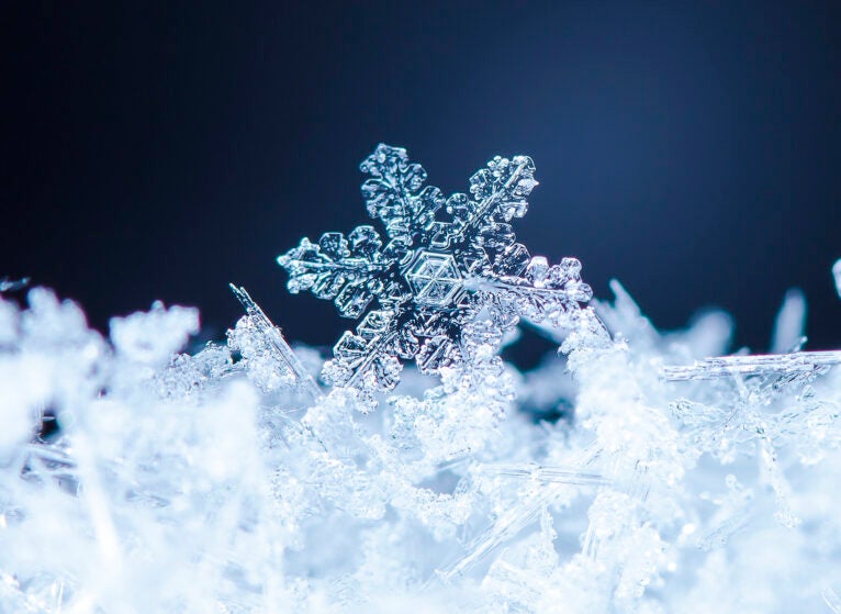 winter card, photo real snowflakes on snow