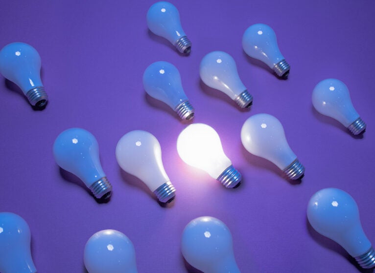 One of 14 incandescent lightbulbs lit on purple surface