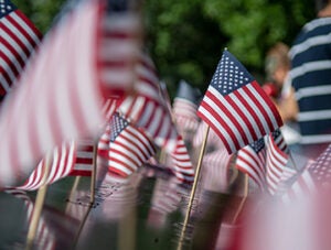 American flags are 911 memorial in New York during Independence day