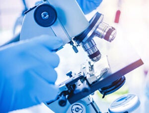 Scientist hands, examining samples, Hand doctor with microscope while working on medical research in Covid-19 or corona virus laboratory. Concept science and Technology.