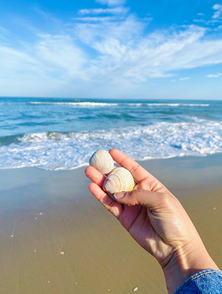 Shaolin collecting shells in Virginia Beach. She loves to be wherever it is sunny.