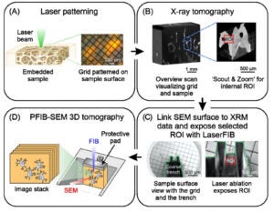 Tang's workflow, from the paper