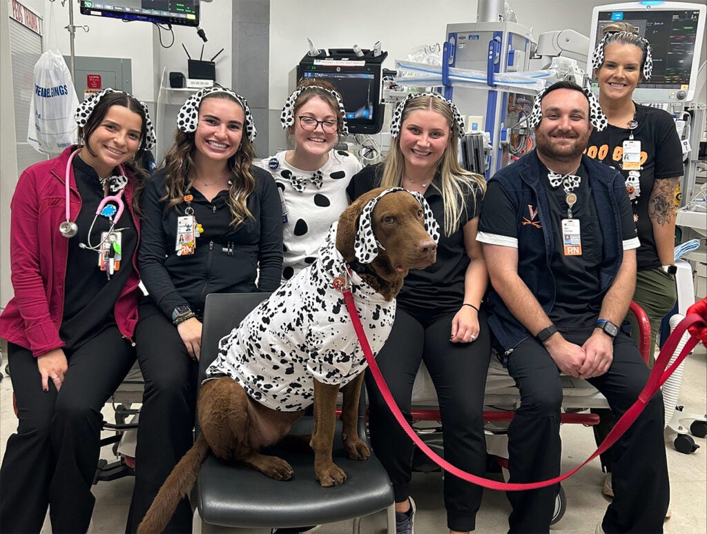 Pediatric Emergency Department with a 101 Dalmatians theme: (l-r) Anna Sharkawi, RN; Claudia Herrick, RN; Julia Dawson, CCLS; Makayla Gill, RN; Alex Kasmere, RN; Lauren Bentley, RN; and Jo the Therapy Dog!