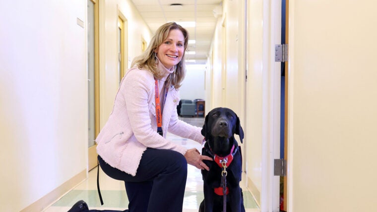 In addition to teaching, leading the Nursing School’s graduate program, and caring for patients, Beth Quatrara raises puppies like black lab Woody before they become service animals. Students say the dogs help them feel at home. (Photo by Matt Riley, University Communications)