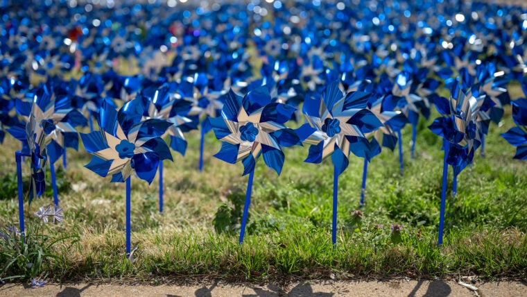 pinwheel garden 2025