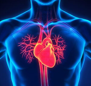 aortic symposium