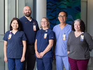 team members