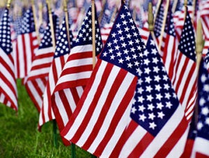 Closeup of many American flags stuck into a lawn