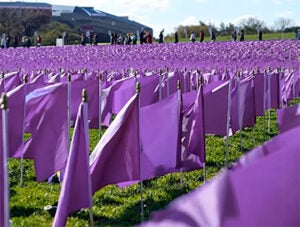 purple flags