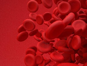 red blood cells