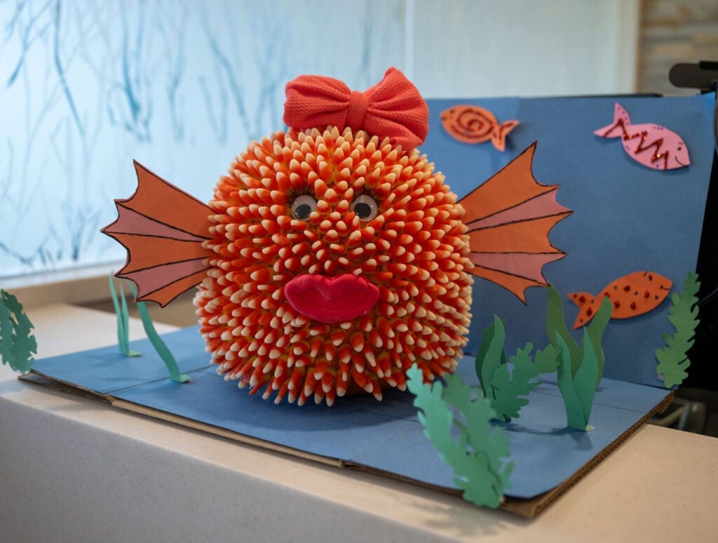 Puffer Fish: Meagan Torrence, Jennifer Ferrell, Molly Brennan, Kelly William, and Michaela Johnson | Cancer Care Pantops Infusion