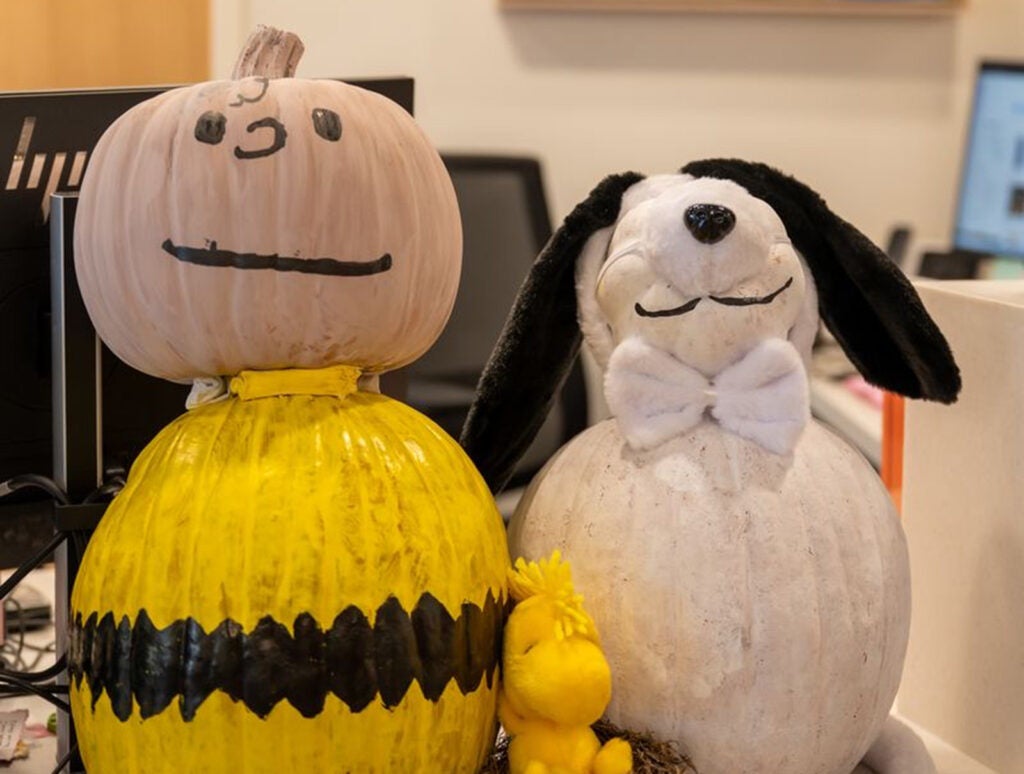 Charlie Brown and Snoopy: Infusion and Specialty Care Pantops team