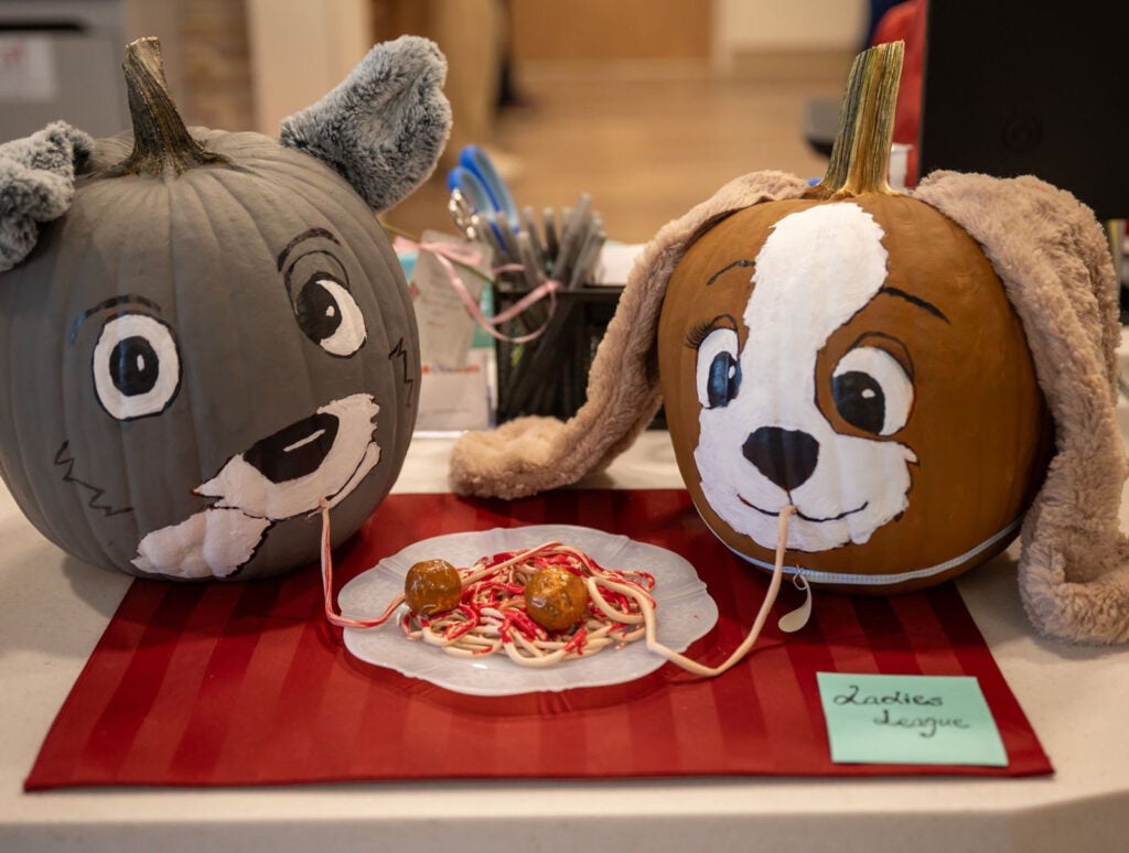 Lady and the Tramp: Kaitlyn Wood, Karen Tarrant | Cancer Care Pantops Patient Access 