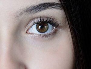 Close Up Of Human Eye