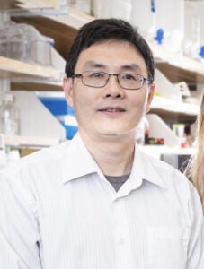 Hui Li, PhD