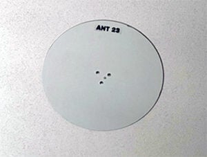 DAS antenna