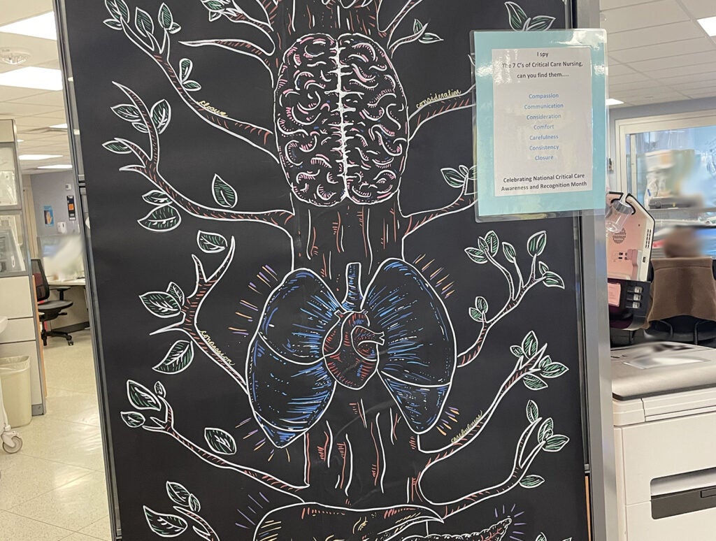 Turn ICU Blue 2026