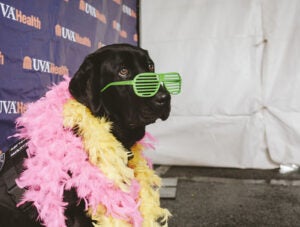 UVA Health Week, Fontaine, Monday, May 11, 2026
