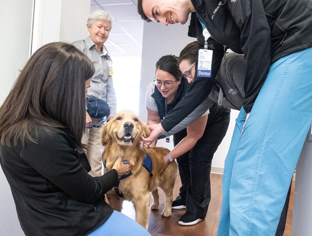 2026 UVA Health Nurses Week Therapy Dog