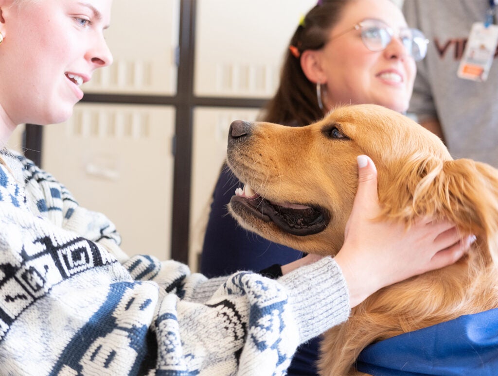 2026 UVA Health Nurses Week Therapy Dog