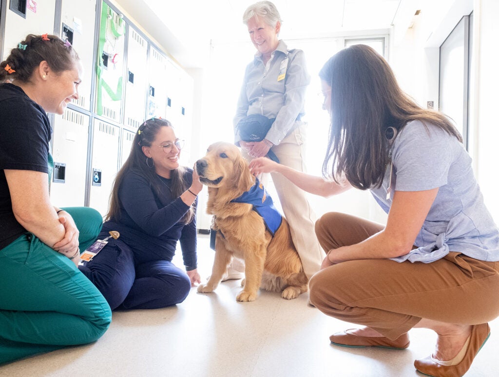 2026 UVA Health Nurses Week Therapy Dog