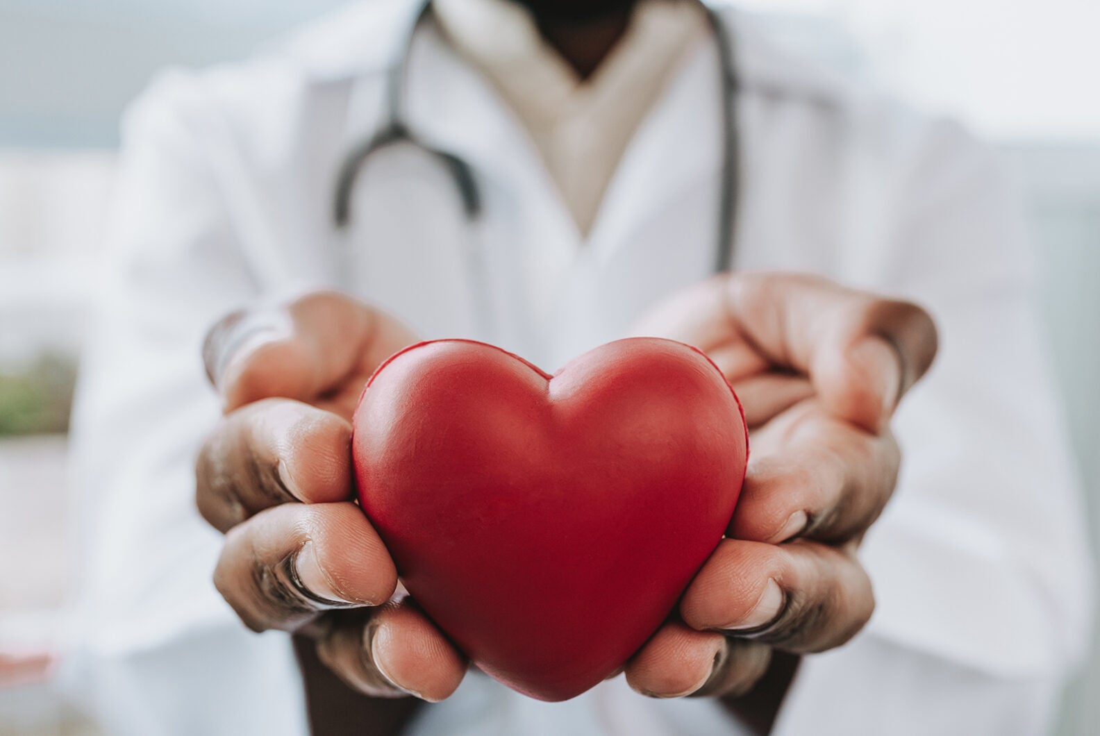 Portrait of a doctor holding a heart in his hands