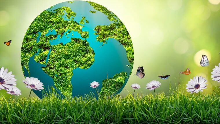 earth day a glass globe Concept day earth Save the world save the environment The world is in the grass of the green bokeh background