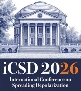 ICSD logo graphic