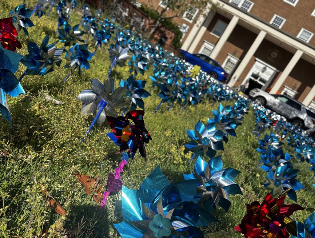 UVA Health Pinwheel Garden