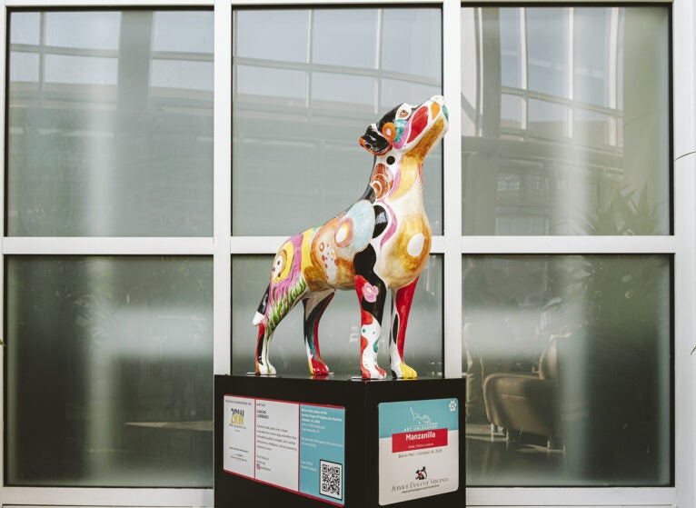 Service Dogs of Virginia, painted statue event