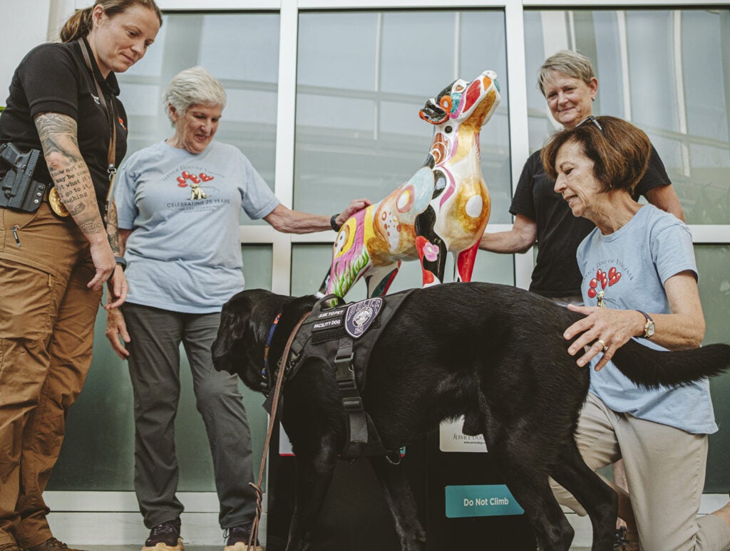 Service Dogs of Virginia, painted statue event