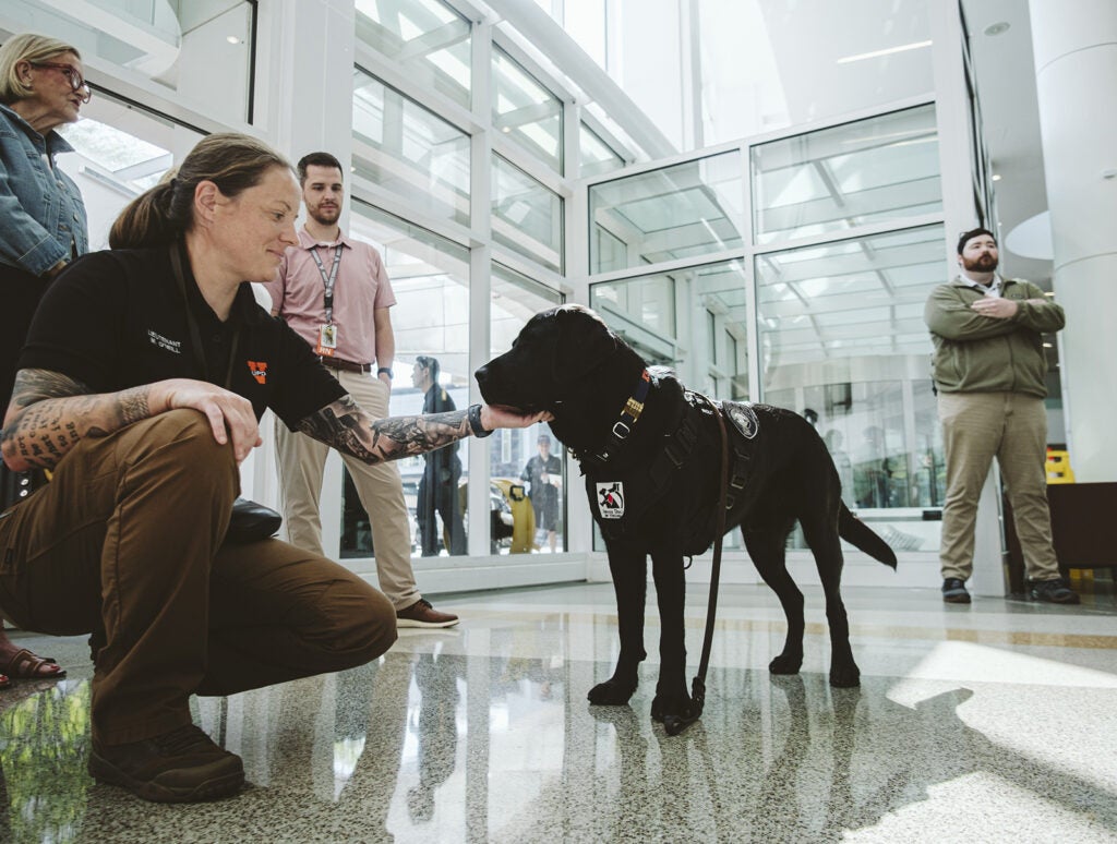 Service Dogs of Virginia, painted statue event