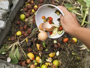 composting material