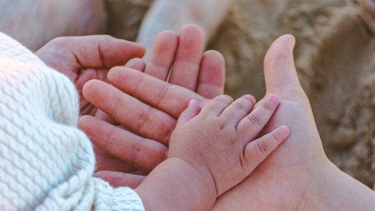 parent_child_hands