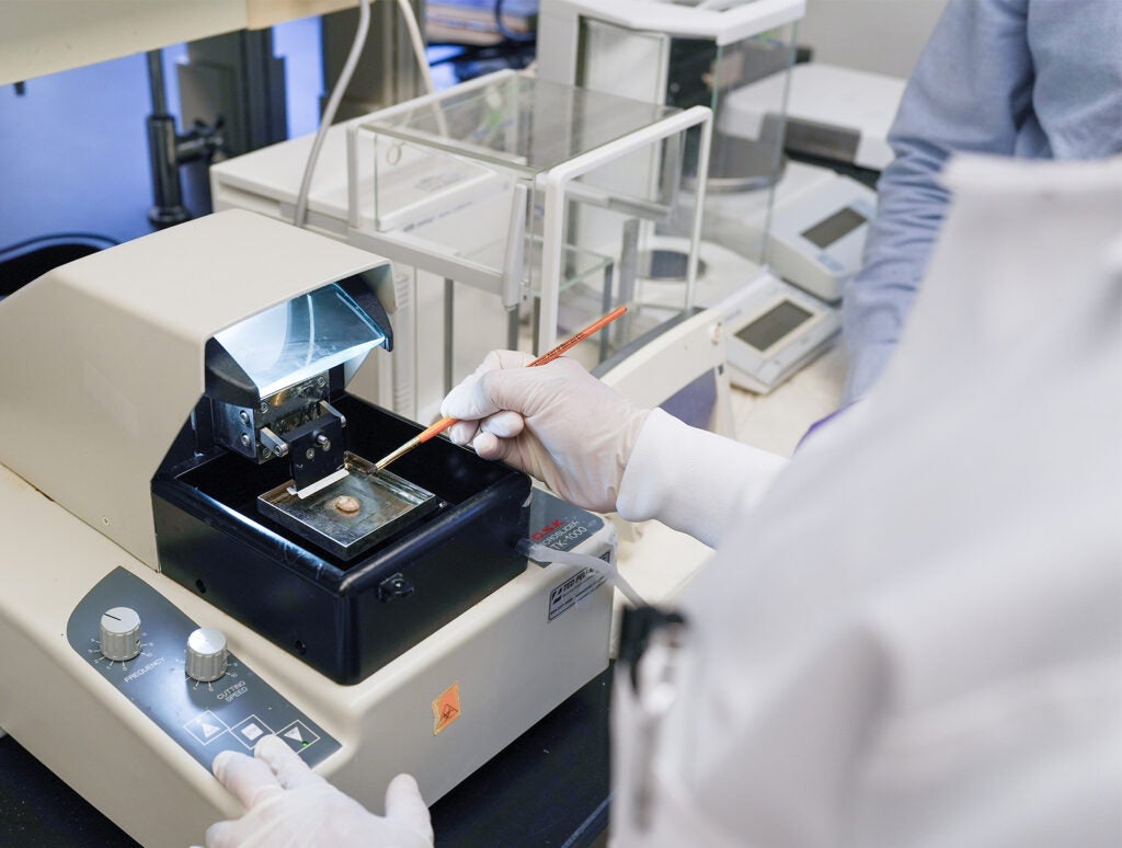 Lab of Hari-Prasad-Osuru-PhD_UVA-School-of-Medicine