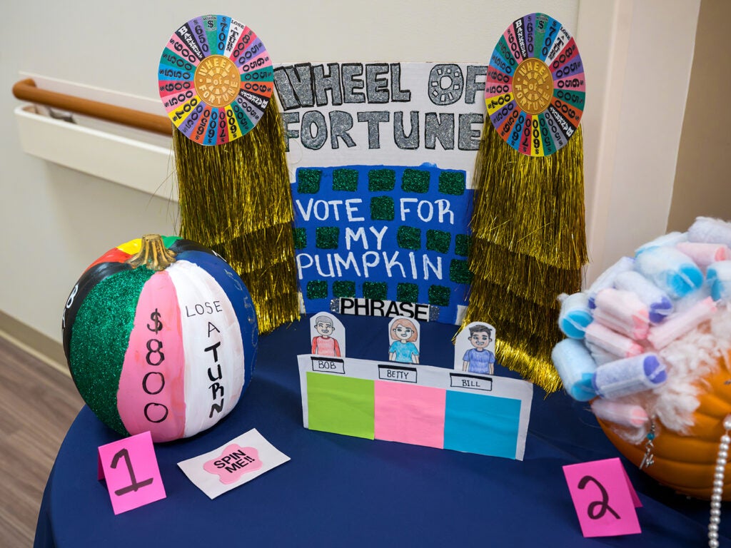 pumpkin contest