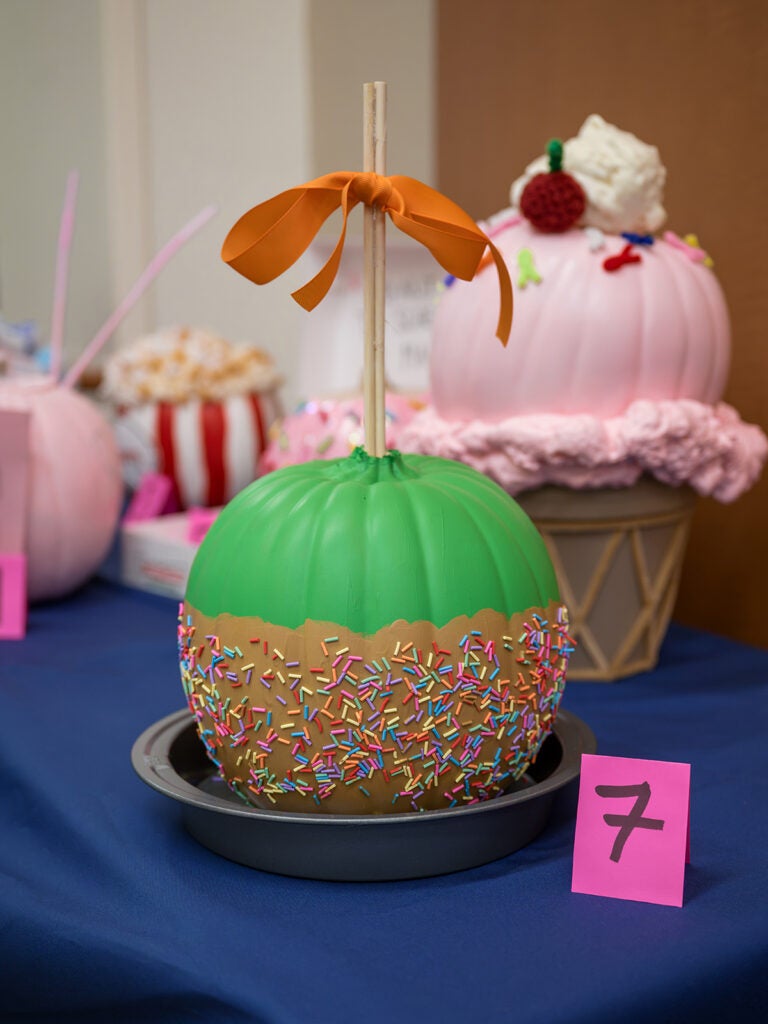 pumpkin contest